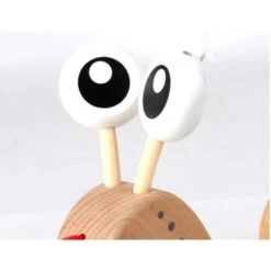 Hape Nachzieh-Schnecke, Geschicklichkeitsspiel 12 Hape Nachzieh-Schnecke, Geschicklichkeitsspiel -Spielwarenladen Hape Nachzieh Schnecke Geschicklichkeitsspiel@@1ss9hb02 2