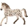 Schleich Horse Club Knabstrupper Hengst, Spielfigur -Spielwarenladen Schleich Horse Club Knabstrupper Hengst Spielfigur@@1607640